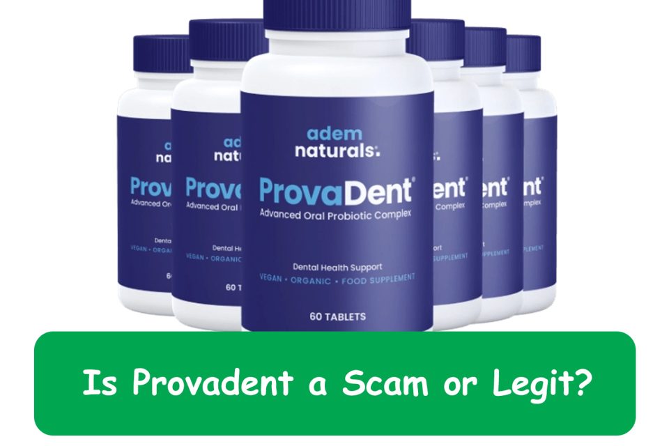 provadent scam