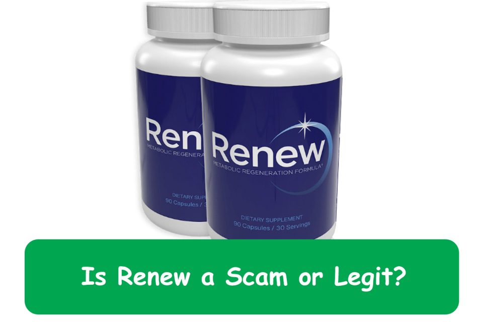 renew scam