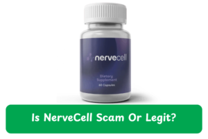 NerveCell